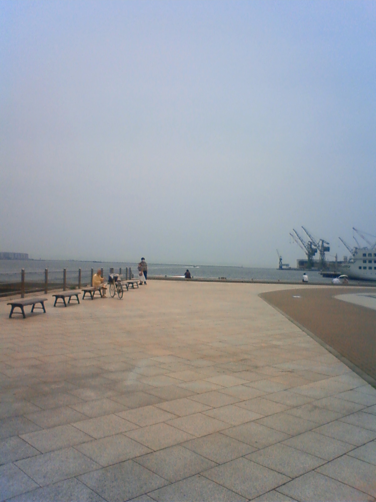 NEC_2181.JPG