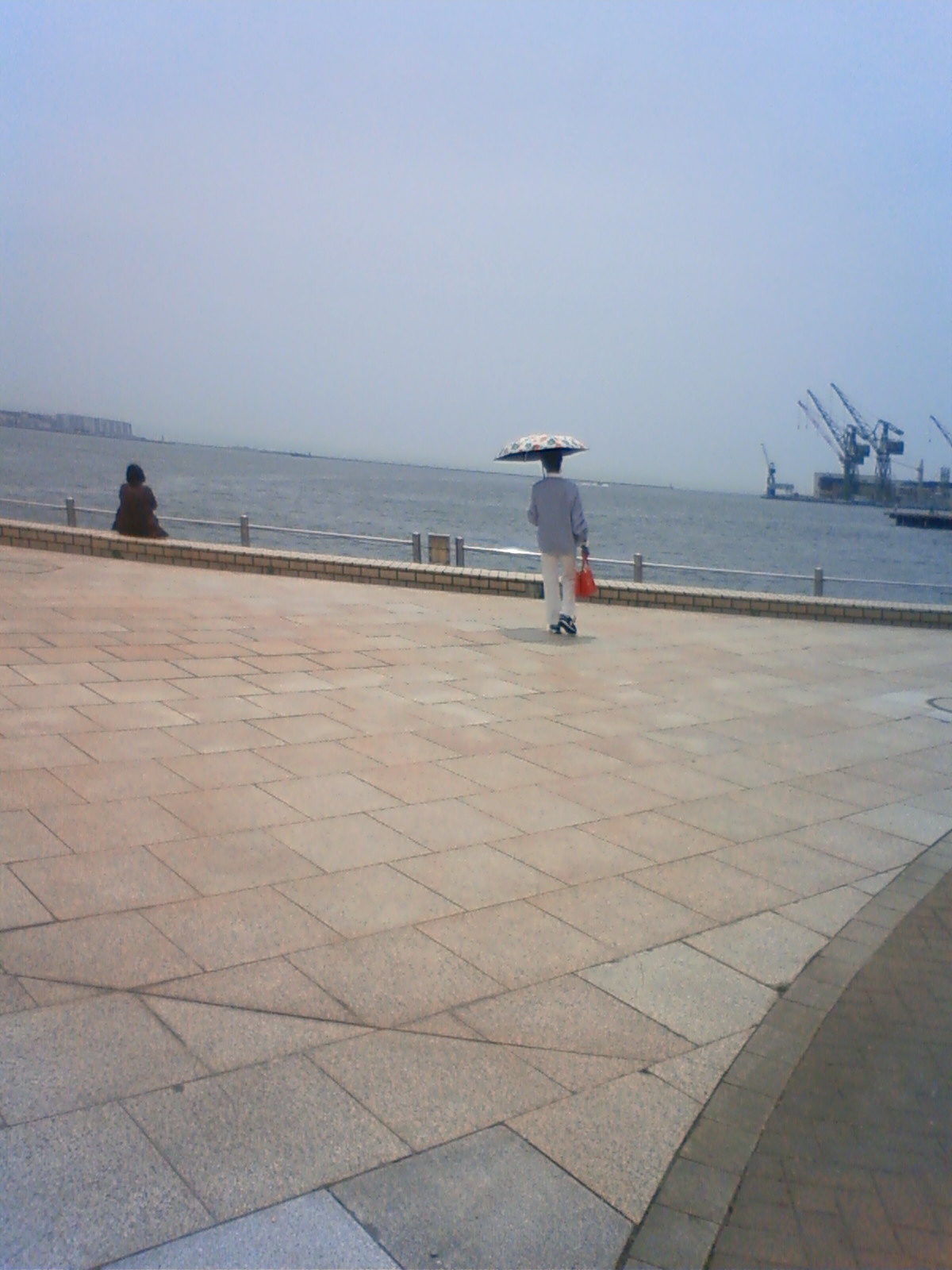 NEC_2183.JPG
