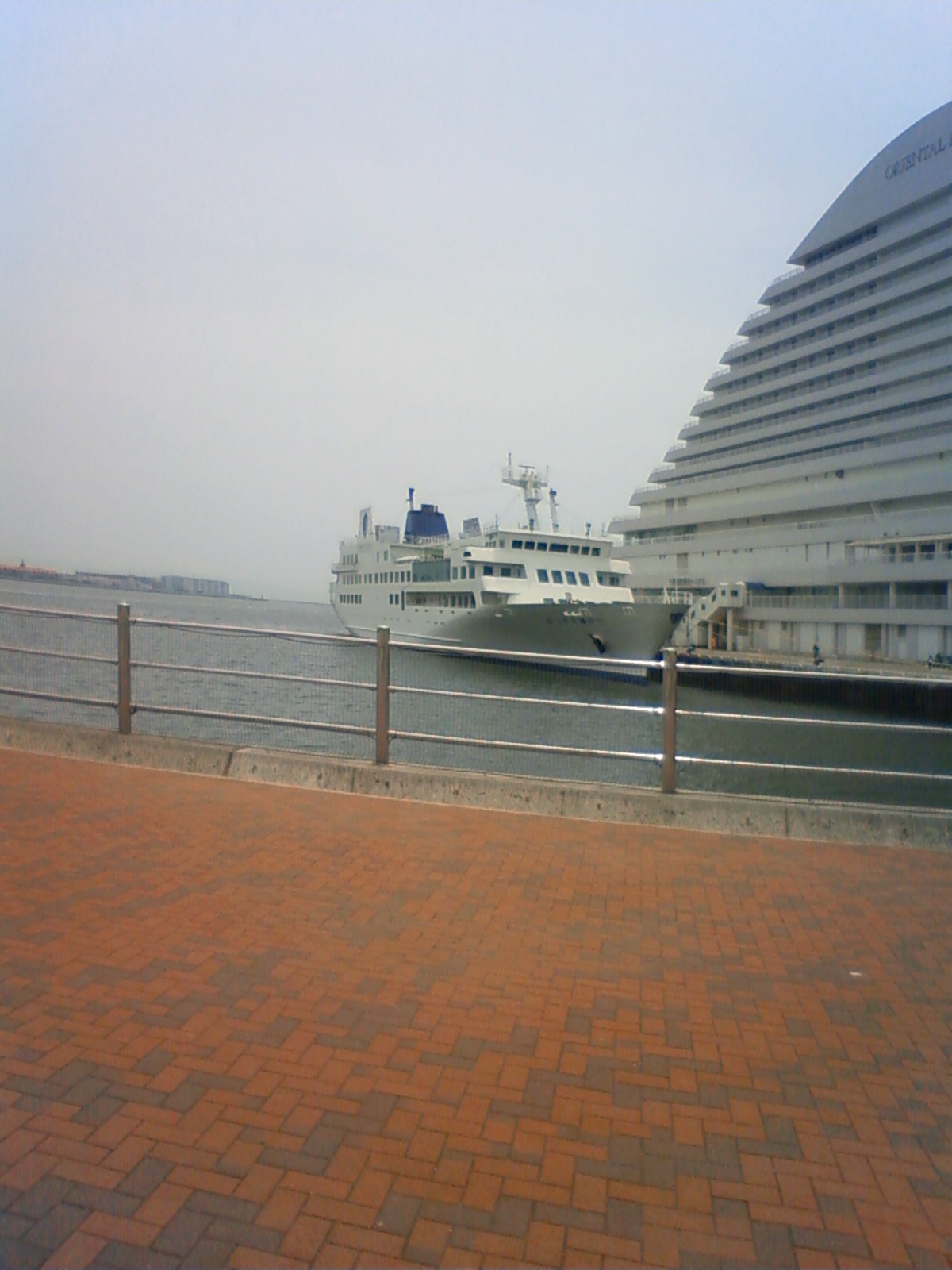 NEC_2191.JPG