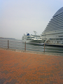 NEC_2191_thumb.png