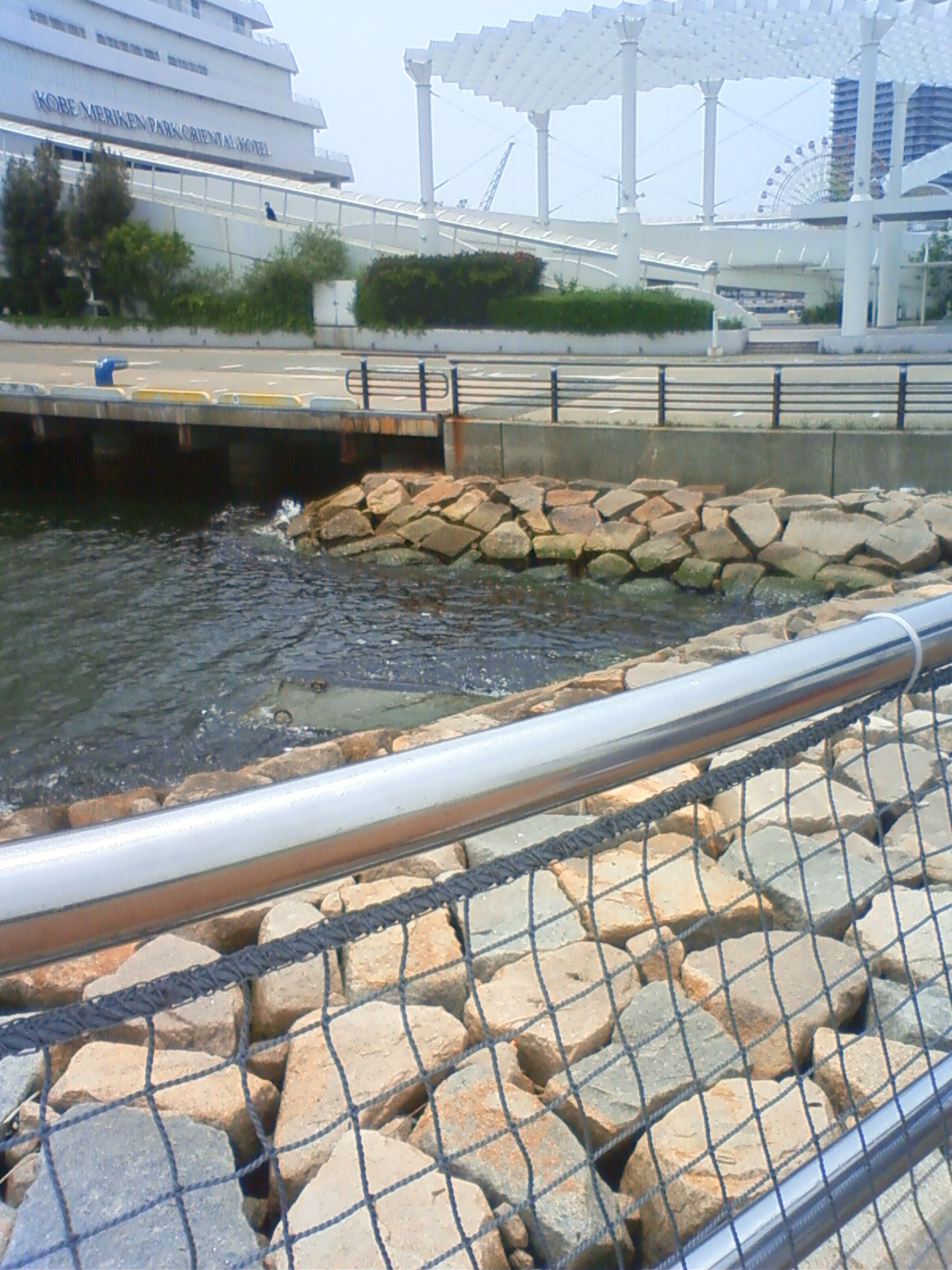 NEC_2192.JPG