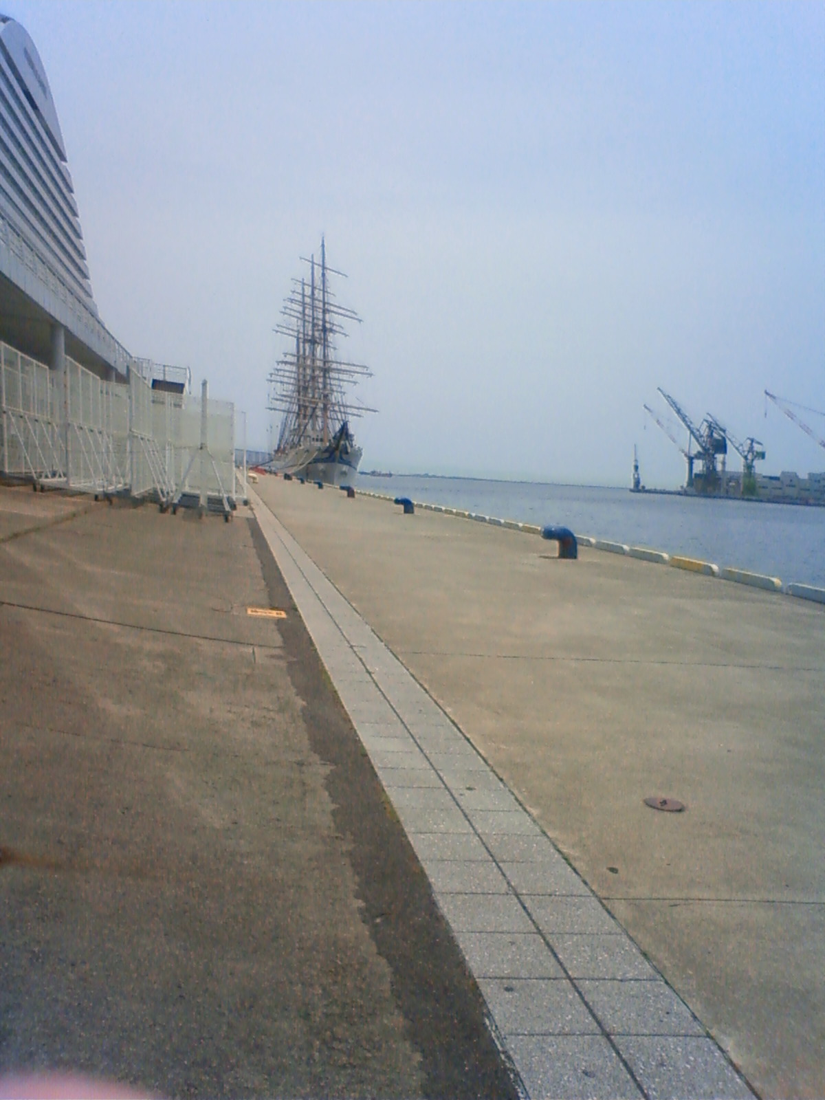 NEC_2195.JPG