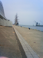NEC_2195_thumb.png