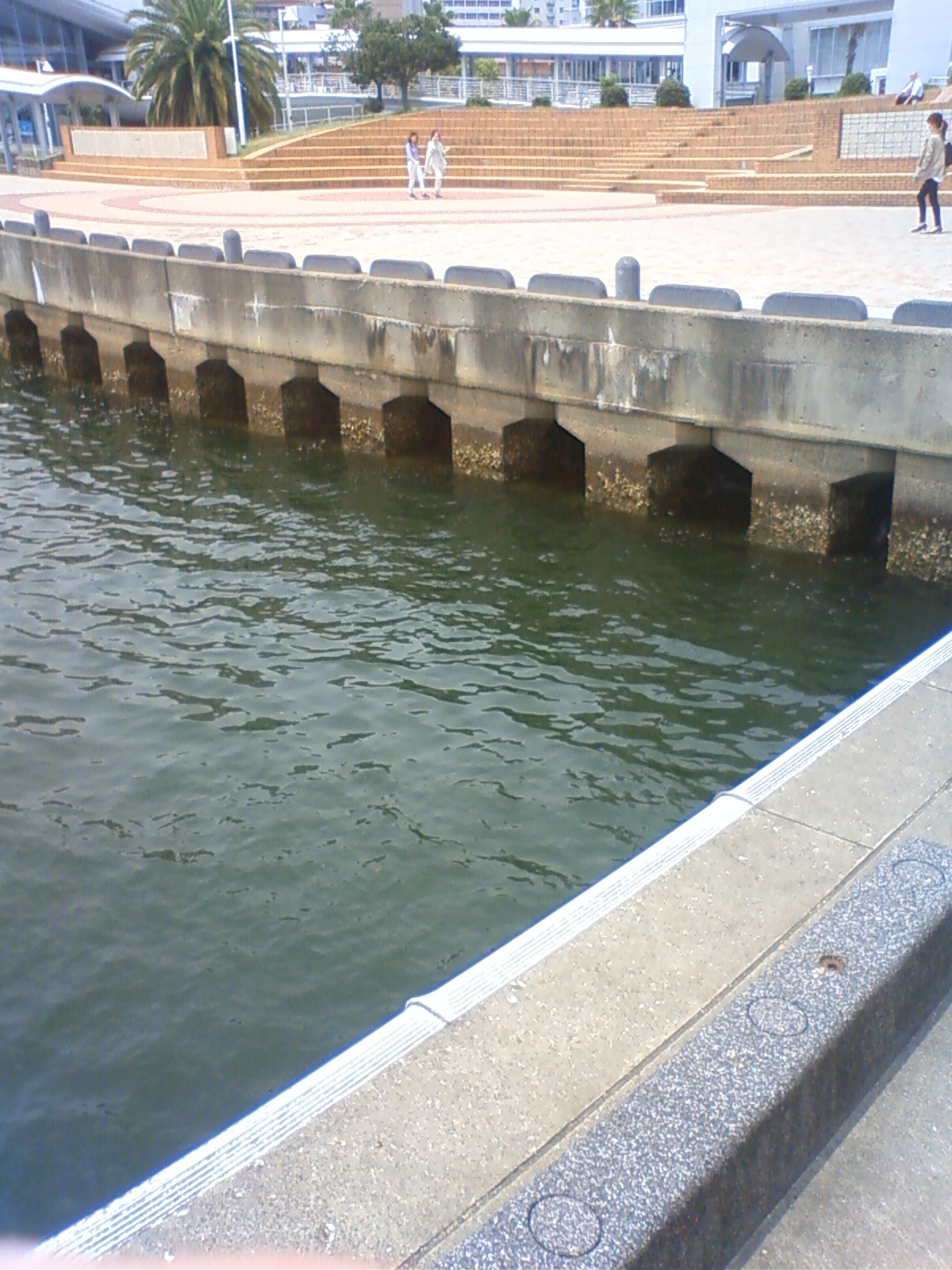 NEC_2200.JPG