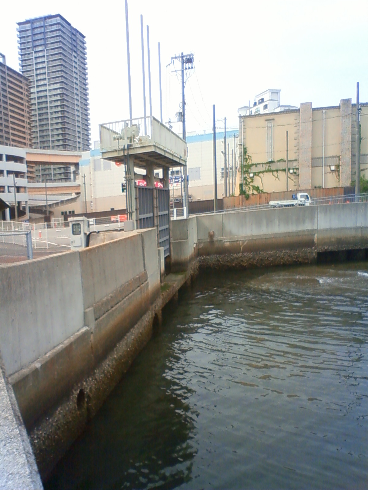 NEC_2205.JPG