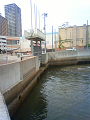 NEC_2205_thumb.png