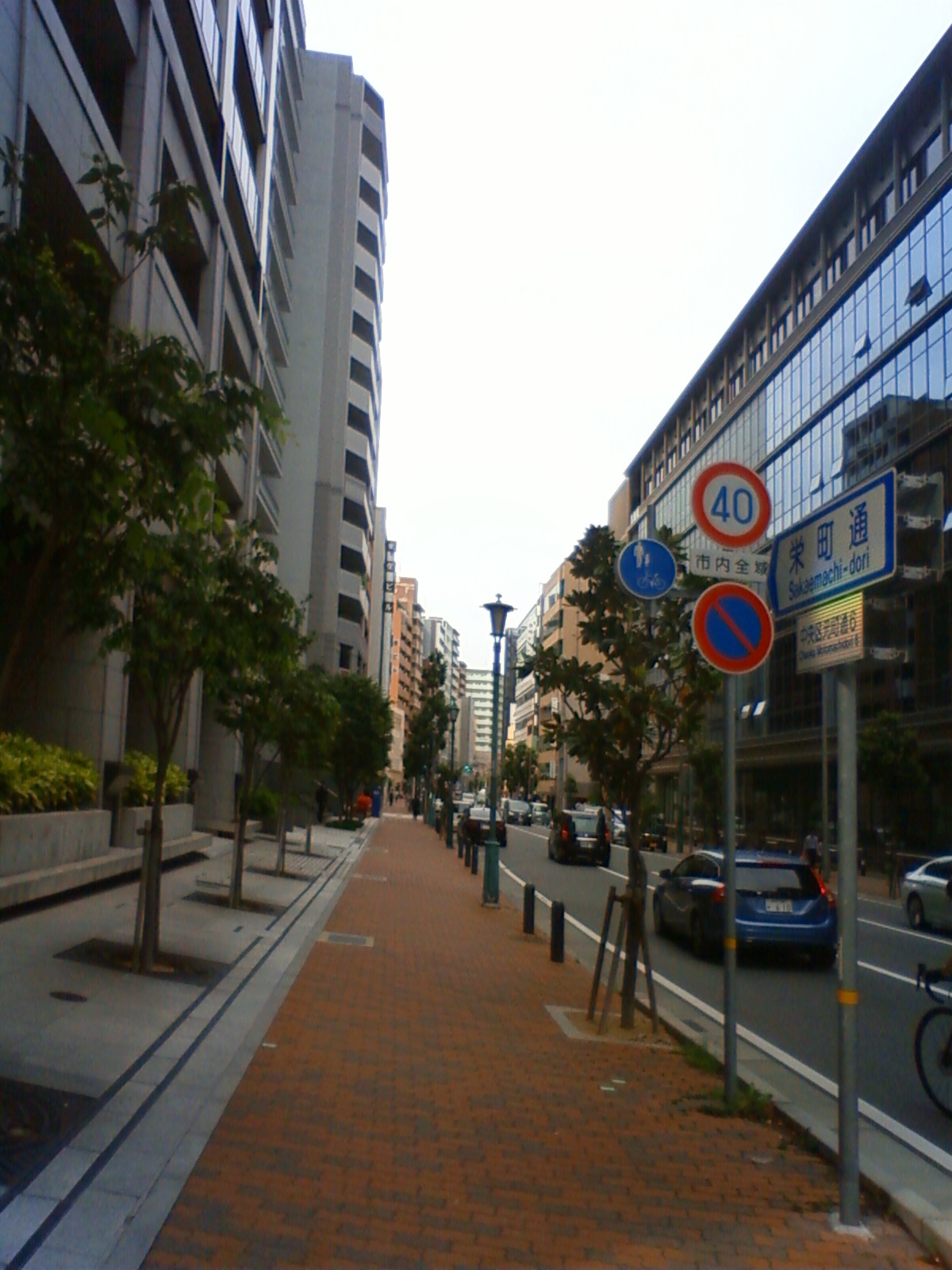NEC_2210.JPG