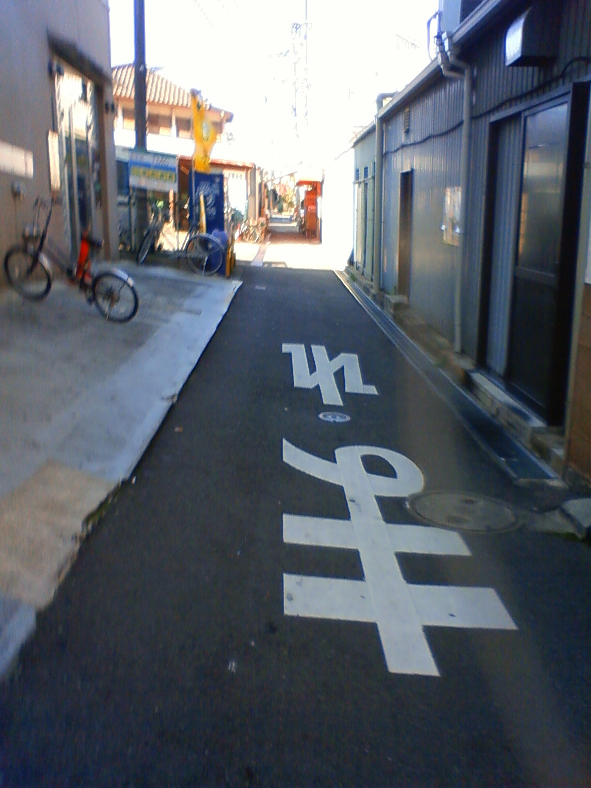 NEC_0004.JPG
