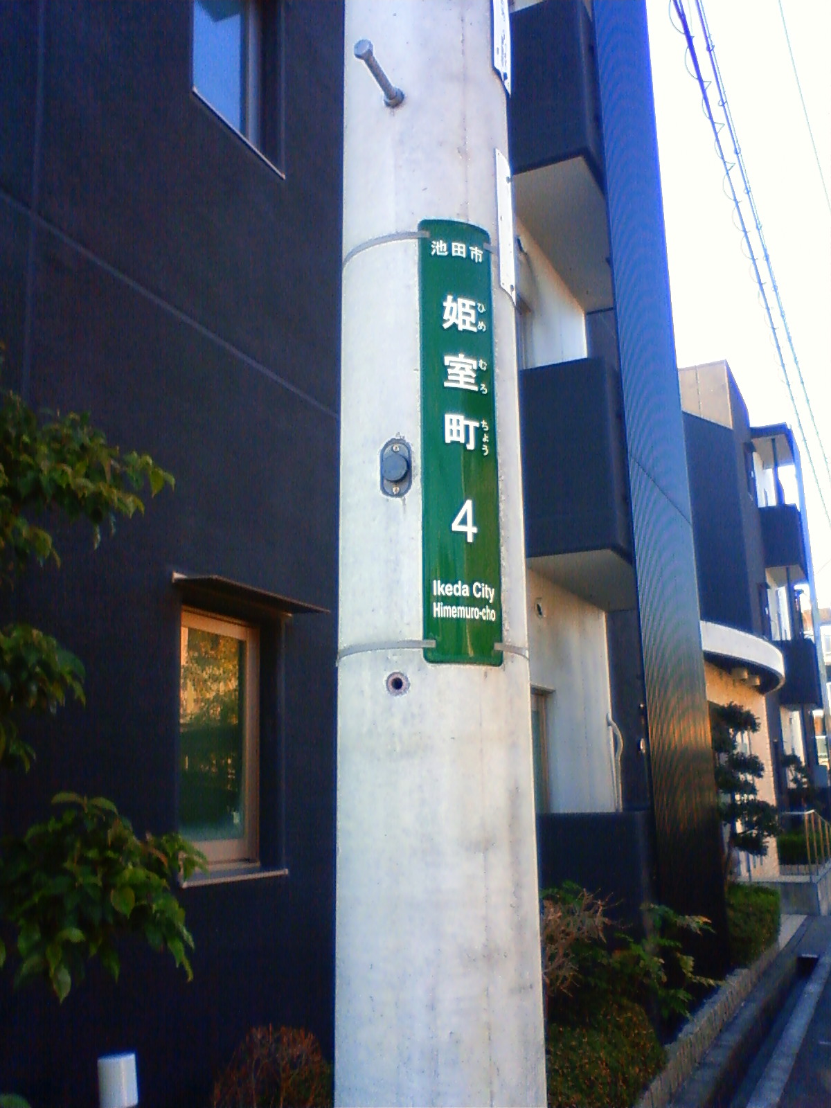 NEC_0007.JPG
