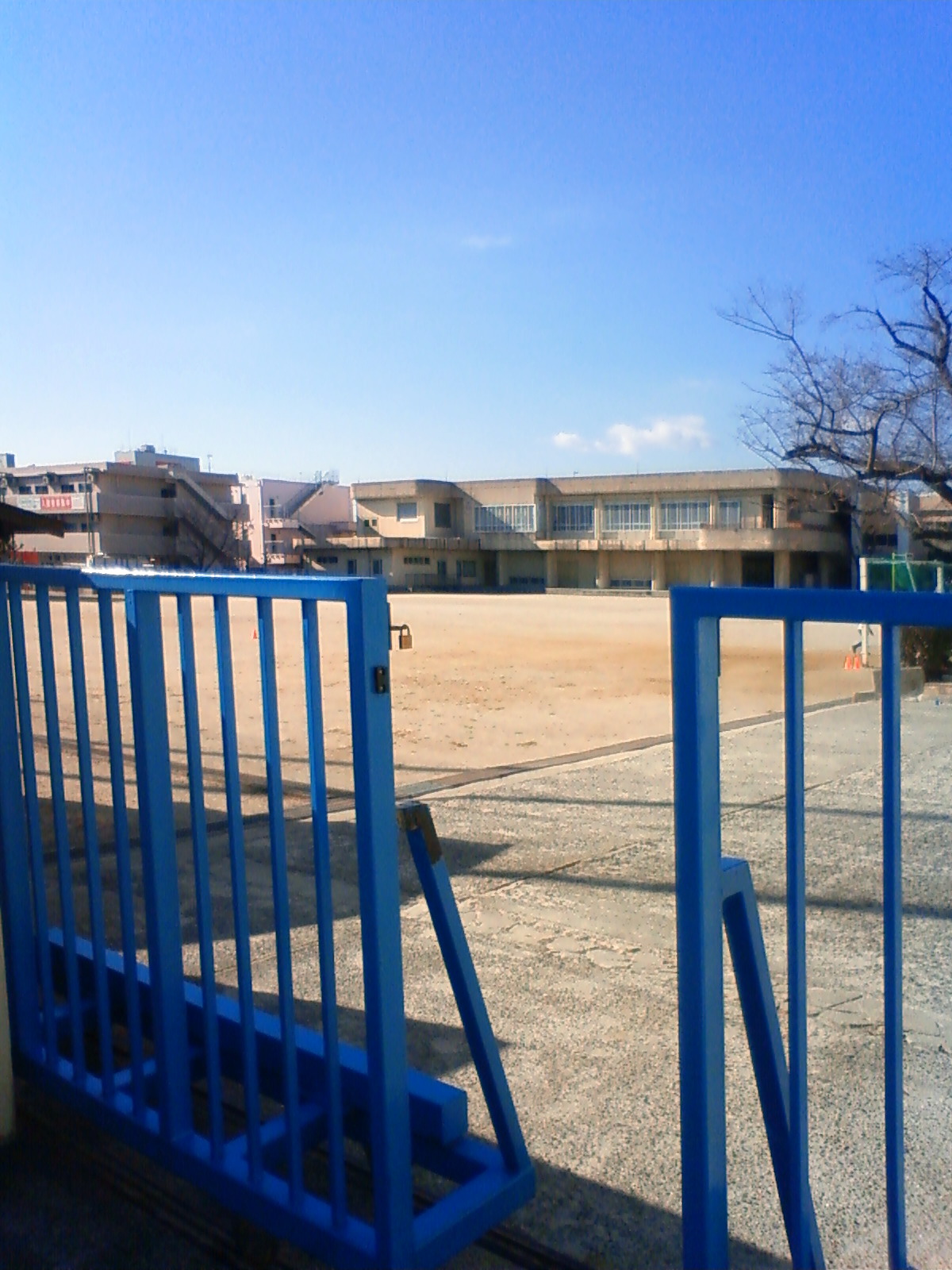 NEC_0010.JPG