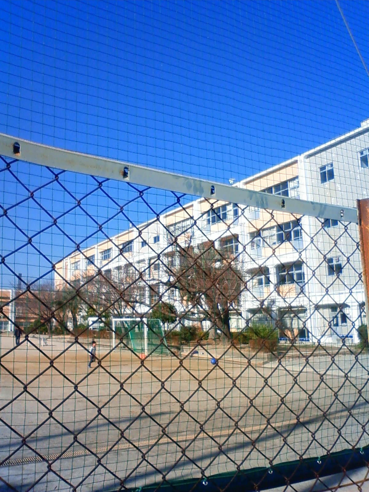 NEC_0012.JPG