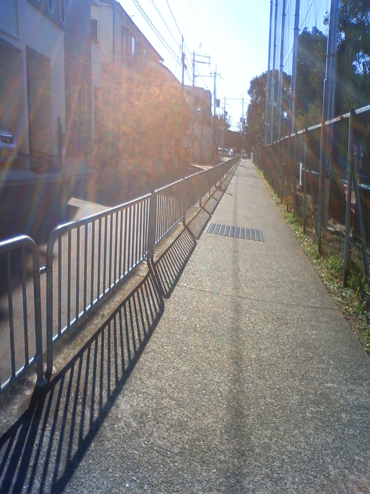 NEC_0013.JPG