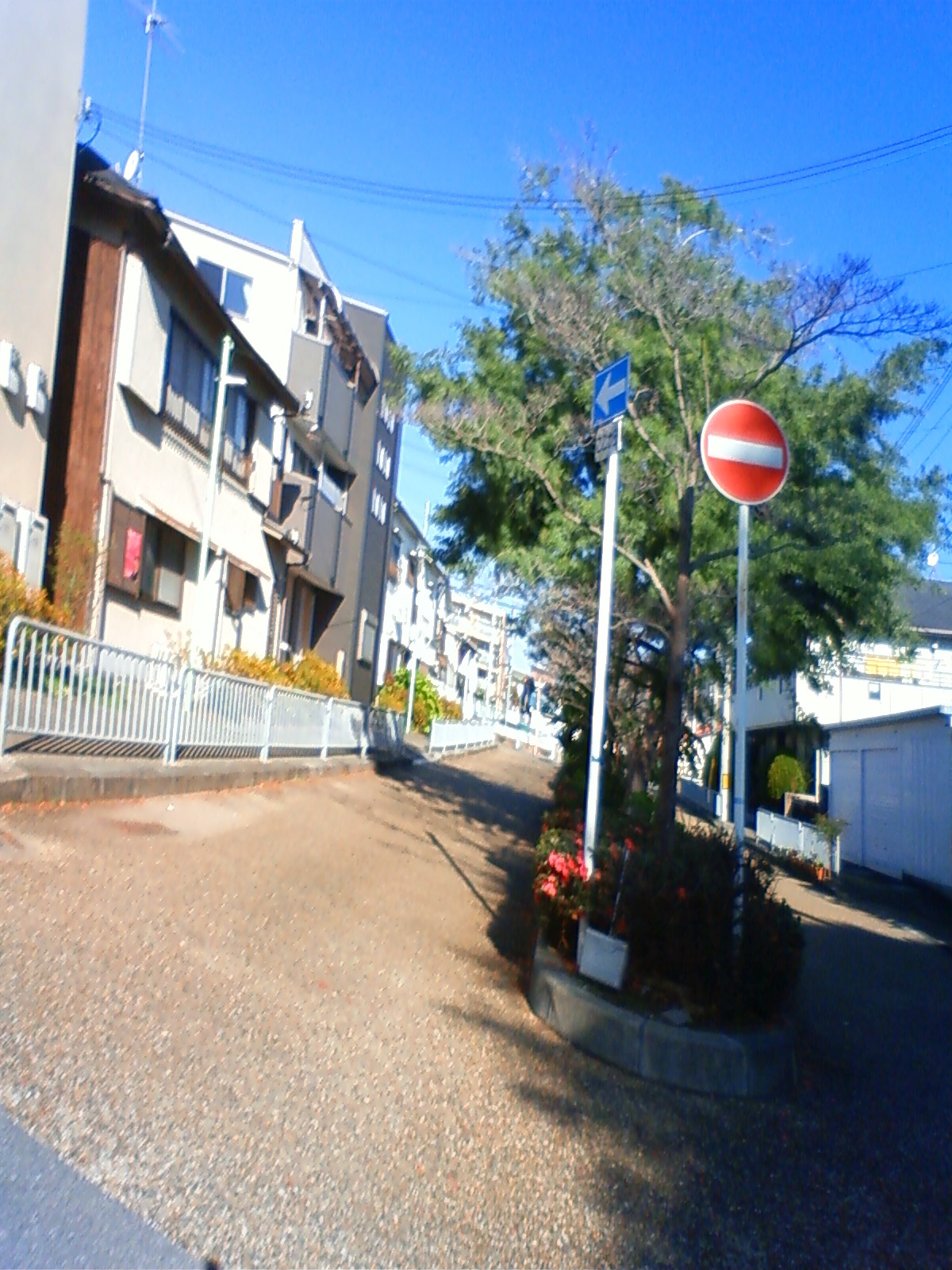 NEC_0015.JPG