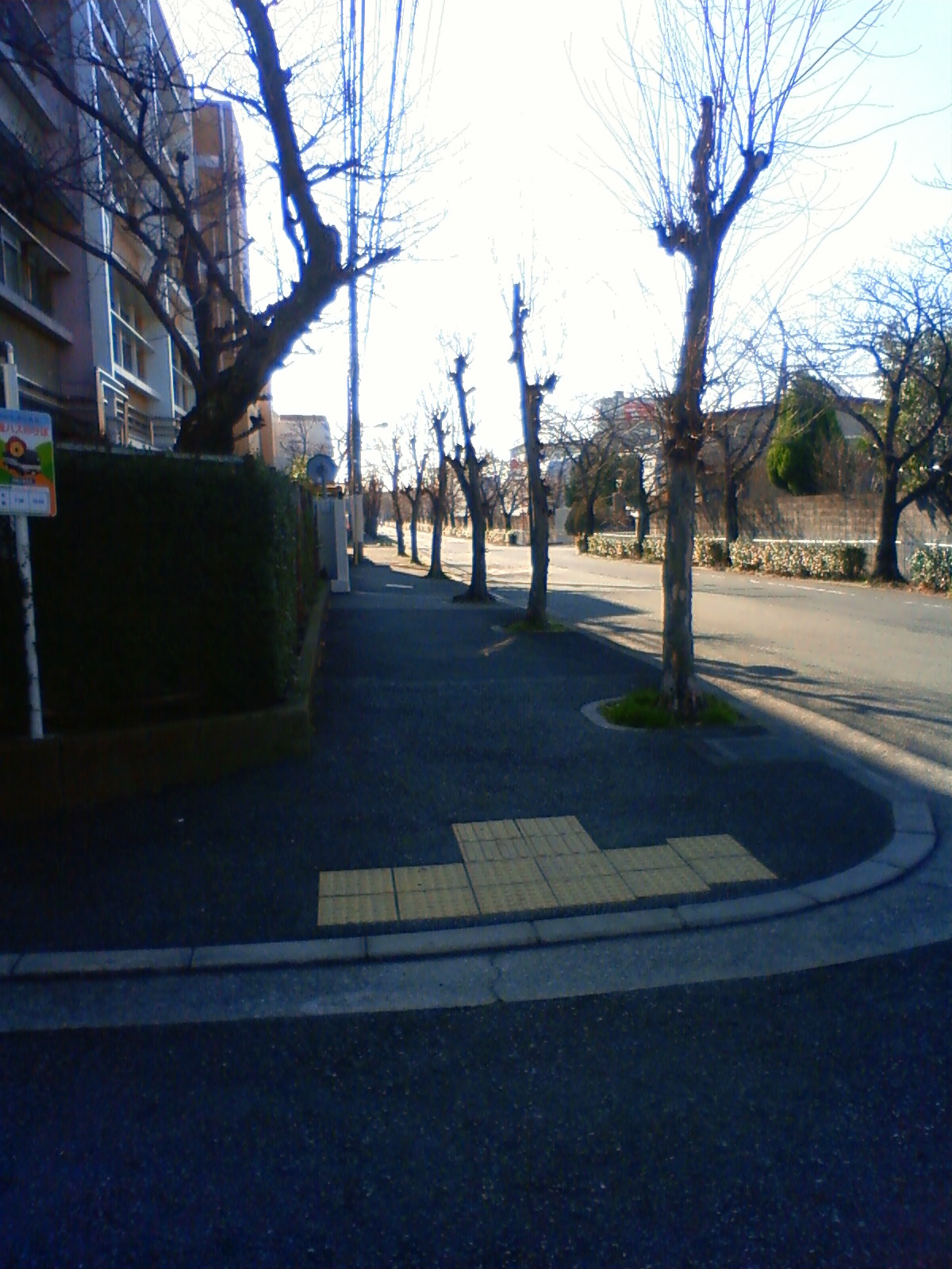 NEC_0019.JPG