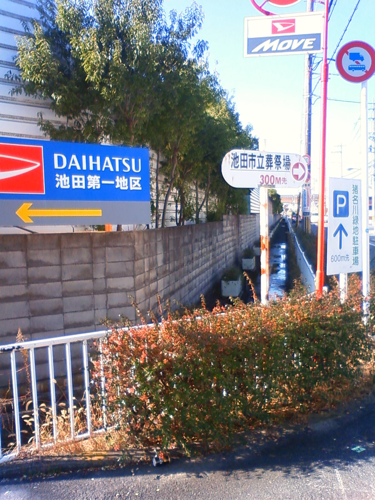 NEC_0022.JPG