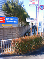 NEC_0022_thumb.png