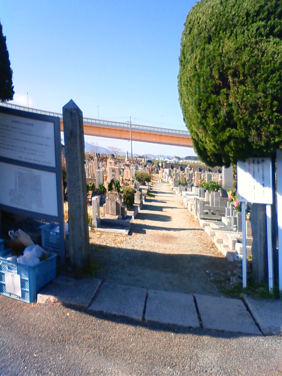 NEC_0025.JPG
