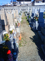NEC_0027_thumb.png