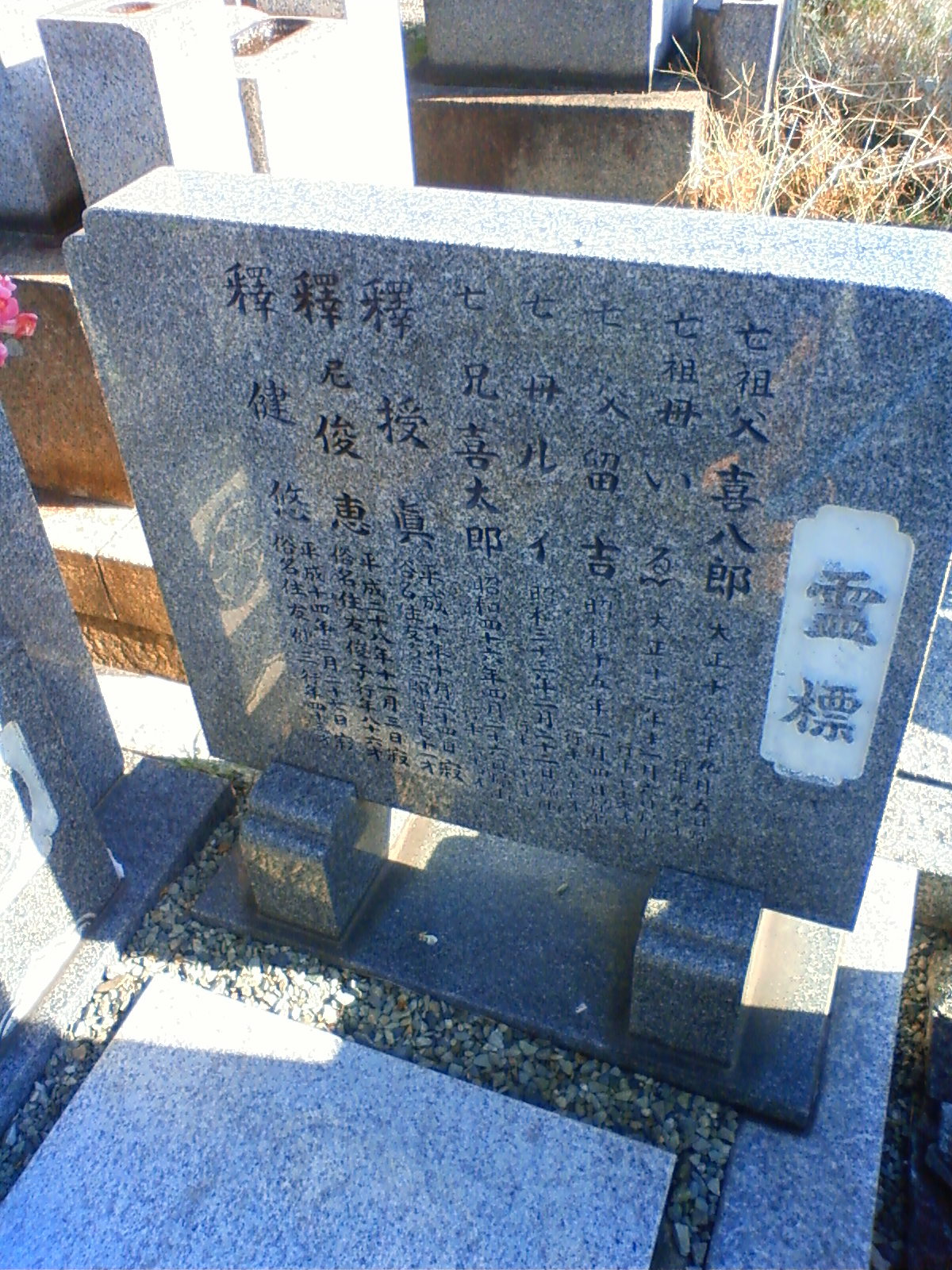 NEC_0028.JPG