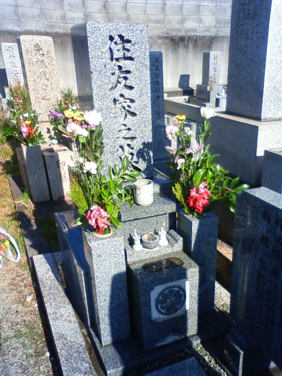 NEC_0029.JPG