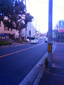 NEC_0032_thumb.png