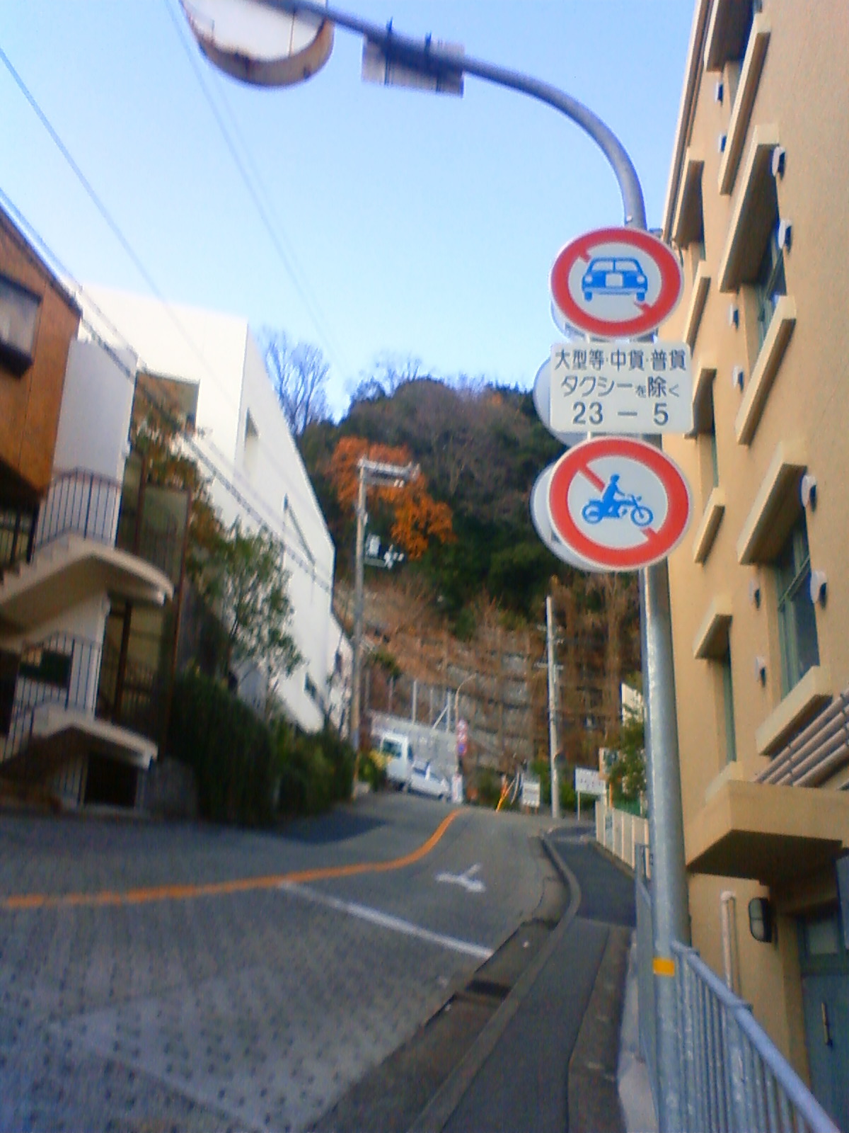 NEC_0033.JPG