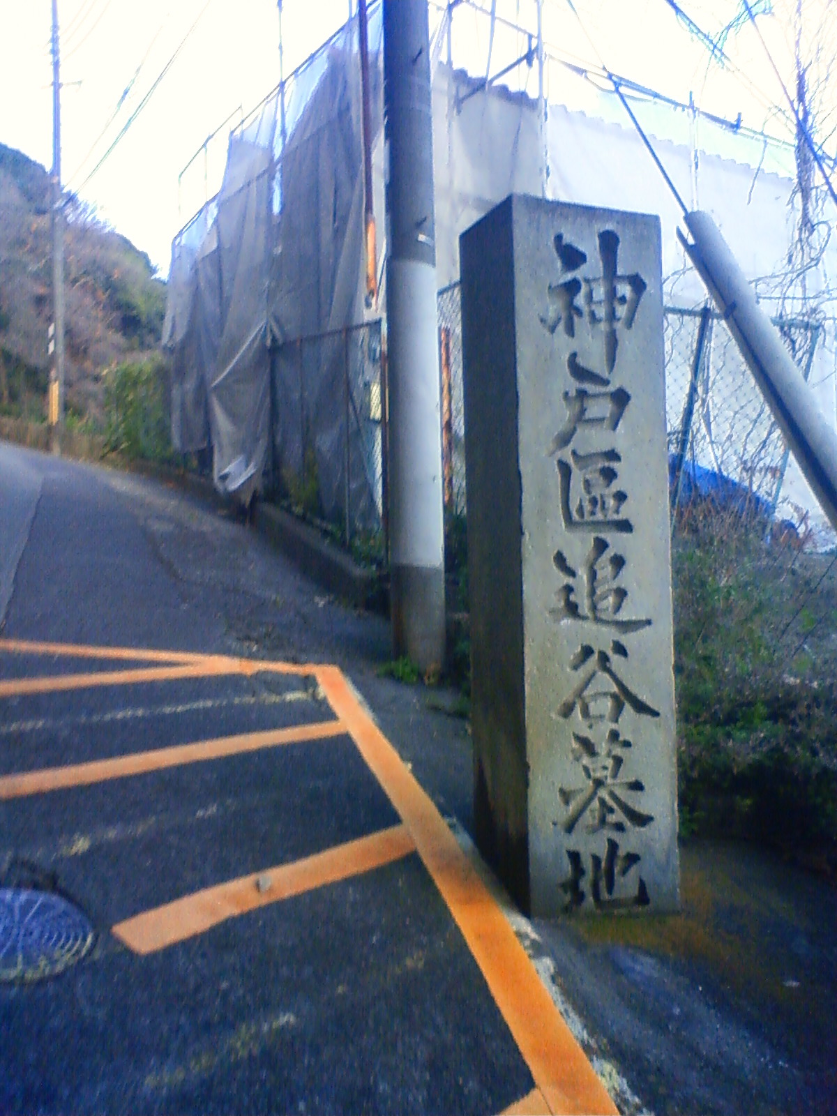 NEC_0036.JPG