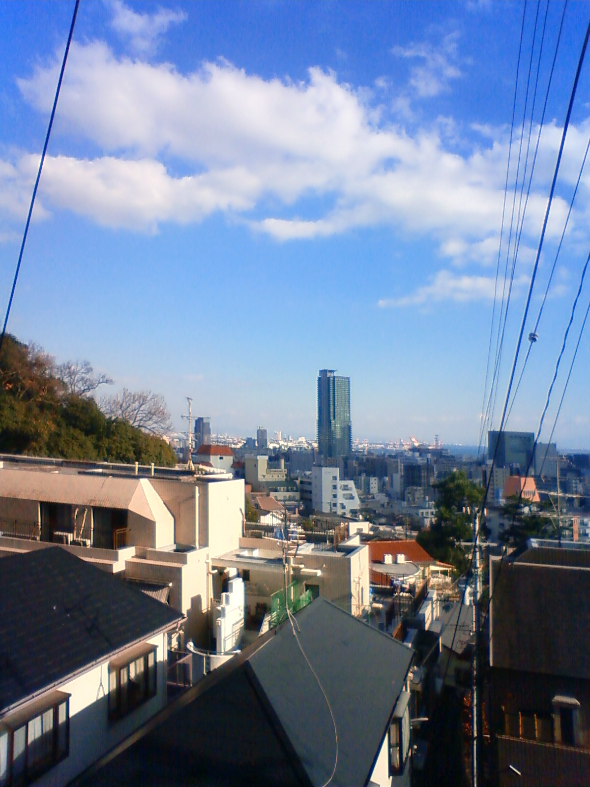 NEC_0038.JPG