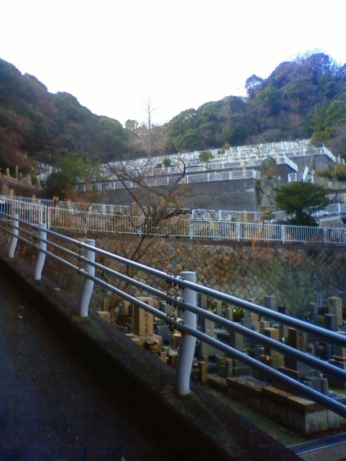 NEC_0046.JPG