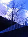 NEC_0049_thumb.png