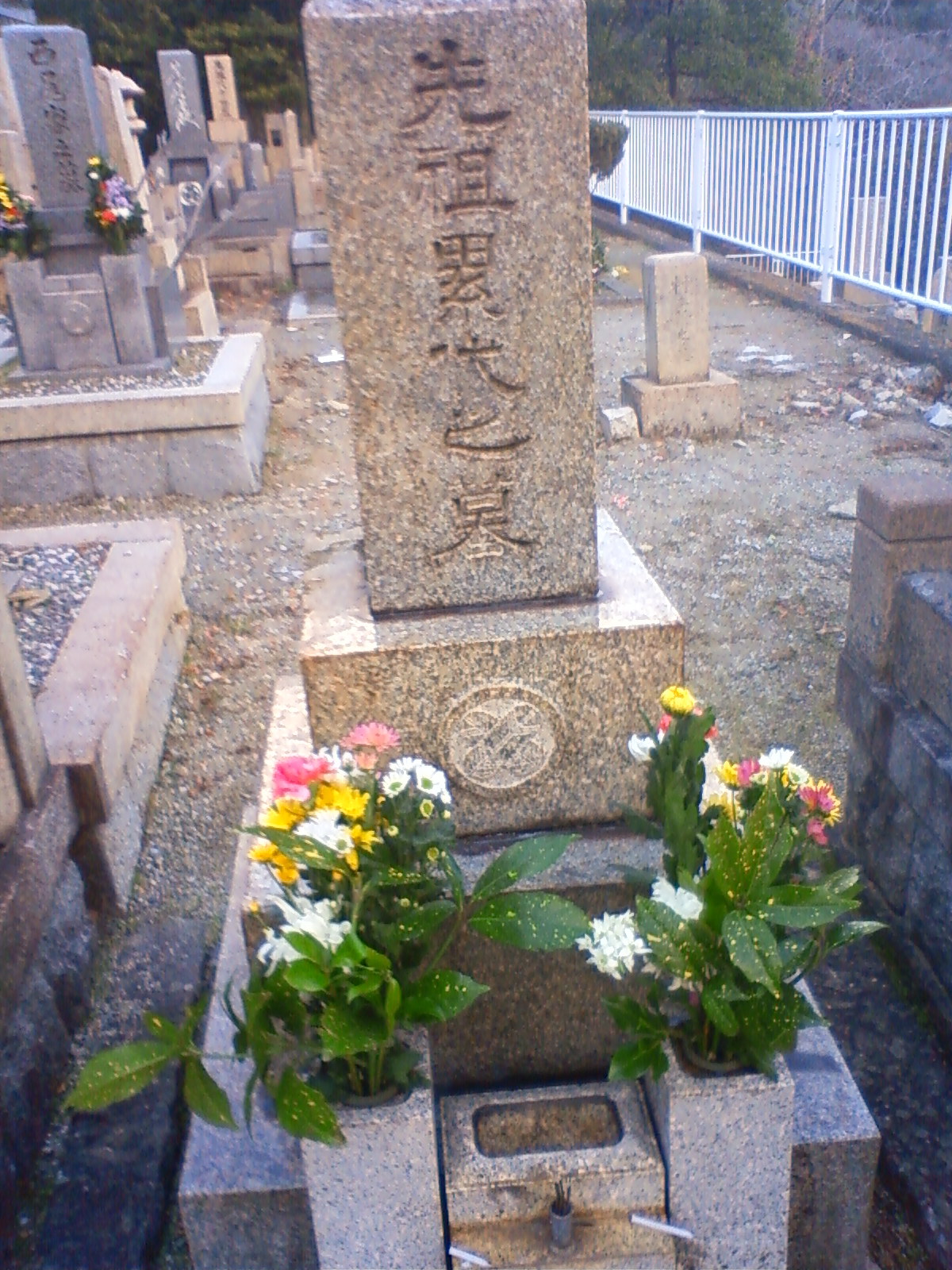 NEC_0050.JPG