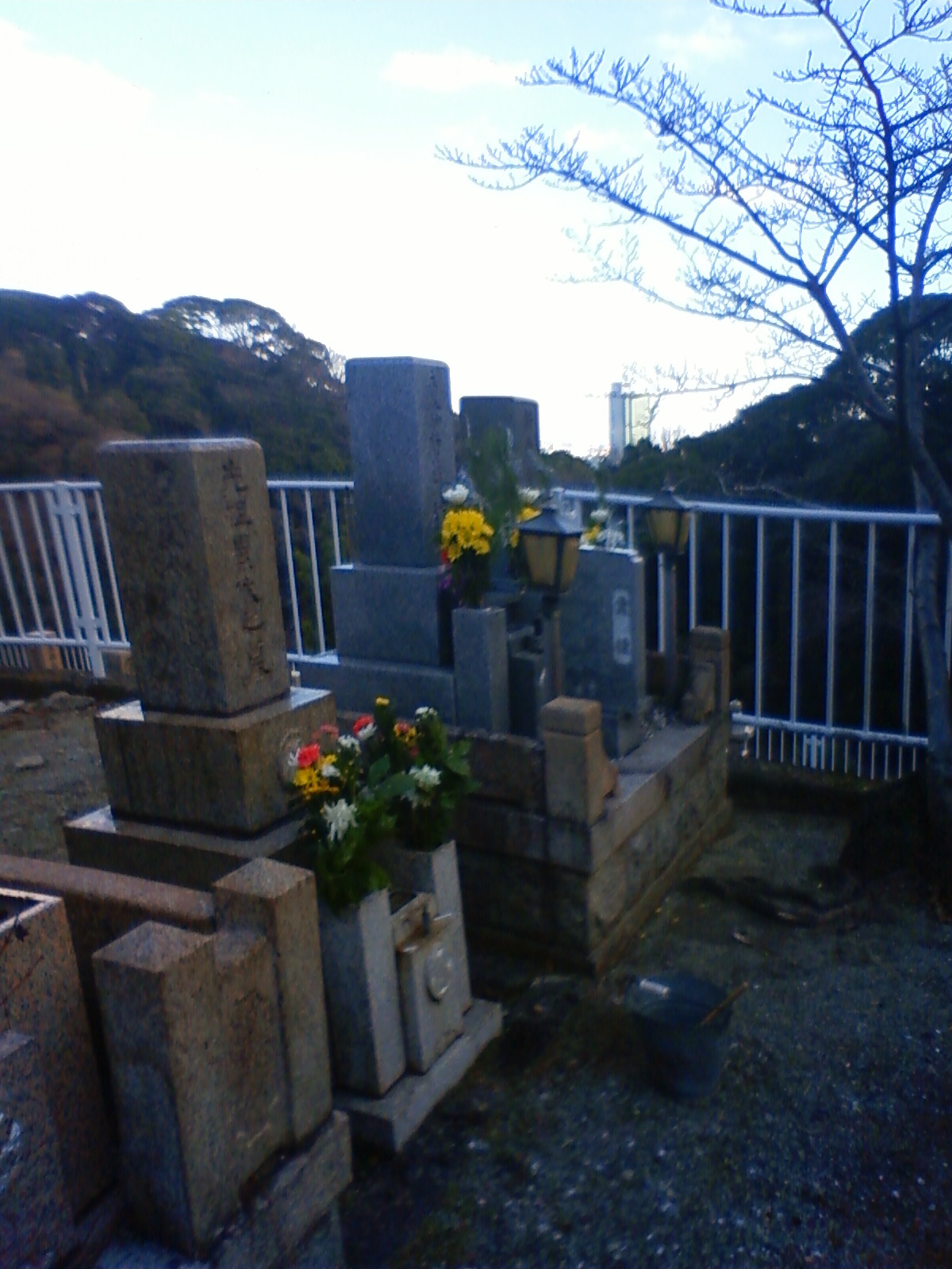 NEC_0051.JPG