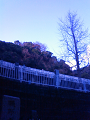 NEC_0052_thumb.png