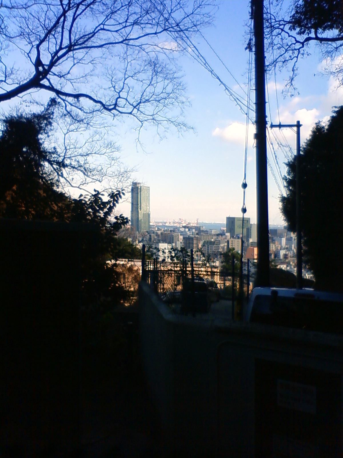NEC_0056.JPG