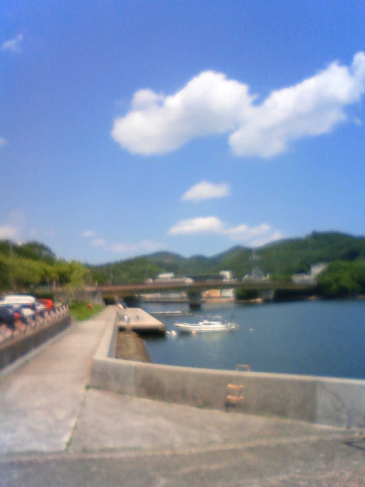 NEC_2251.JPG