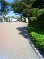 NEC_2257_thumb.png