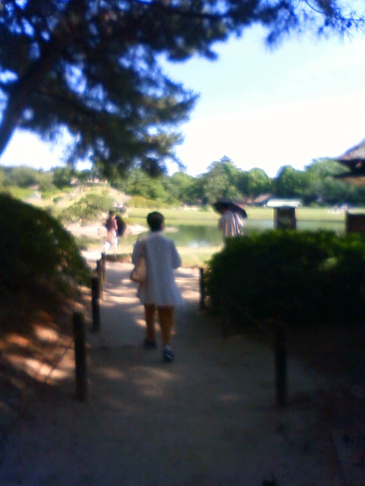 NEC_2258.JPG