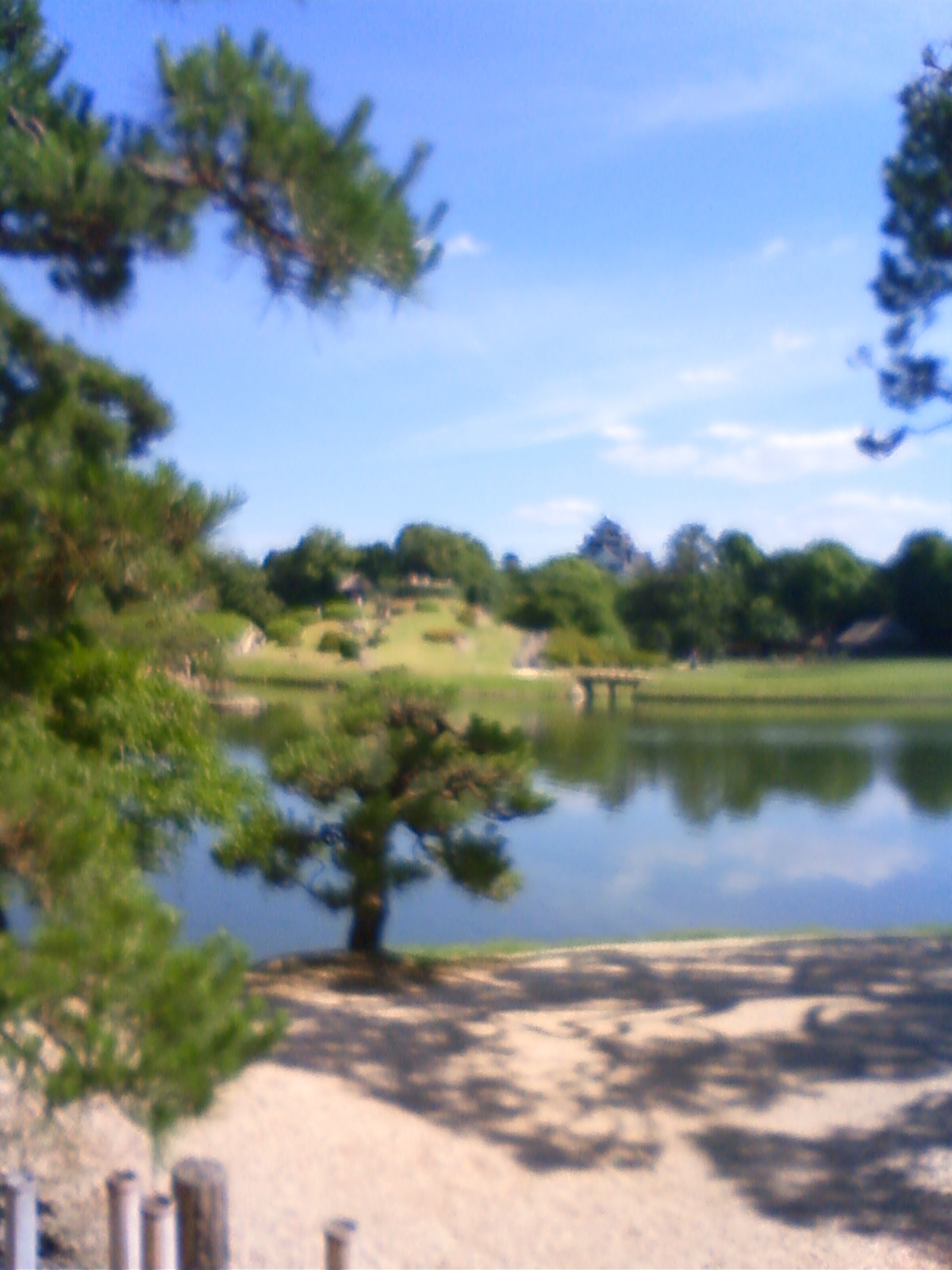 NEC_2261.JPG