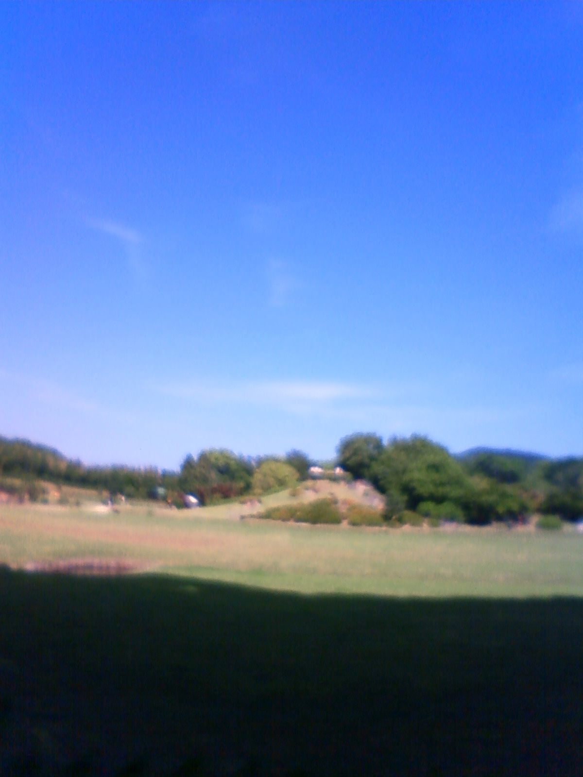 NEC_2272.JPG