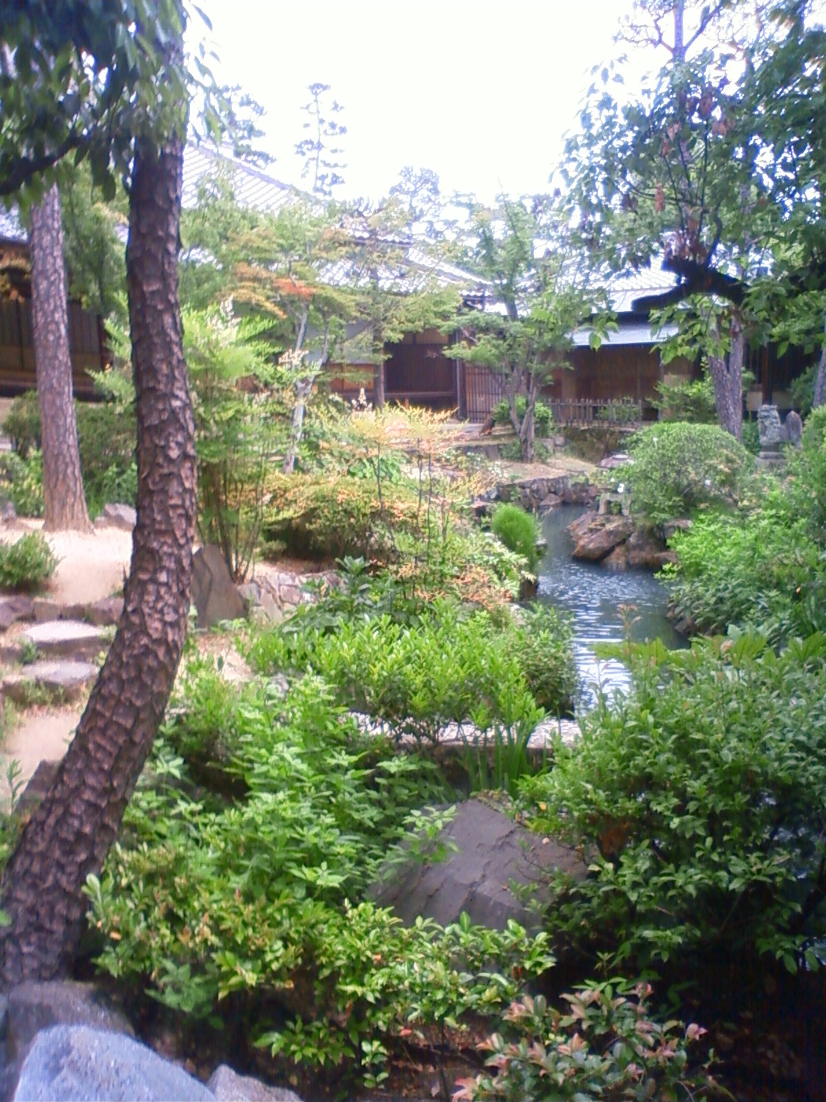NEC_2284.JPG