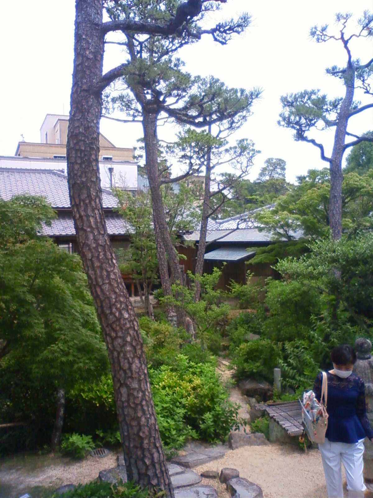 NEC_2285.JPG