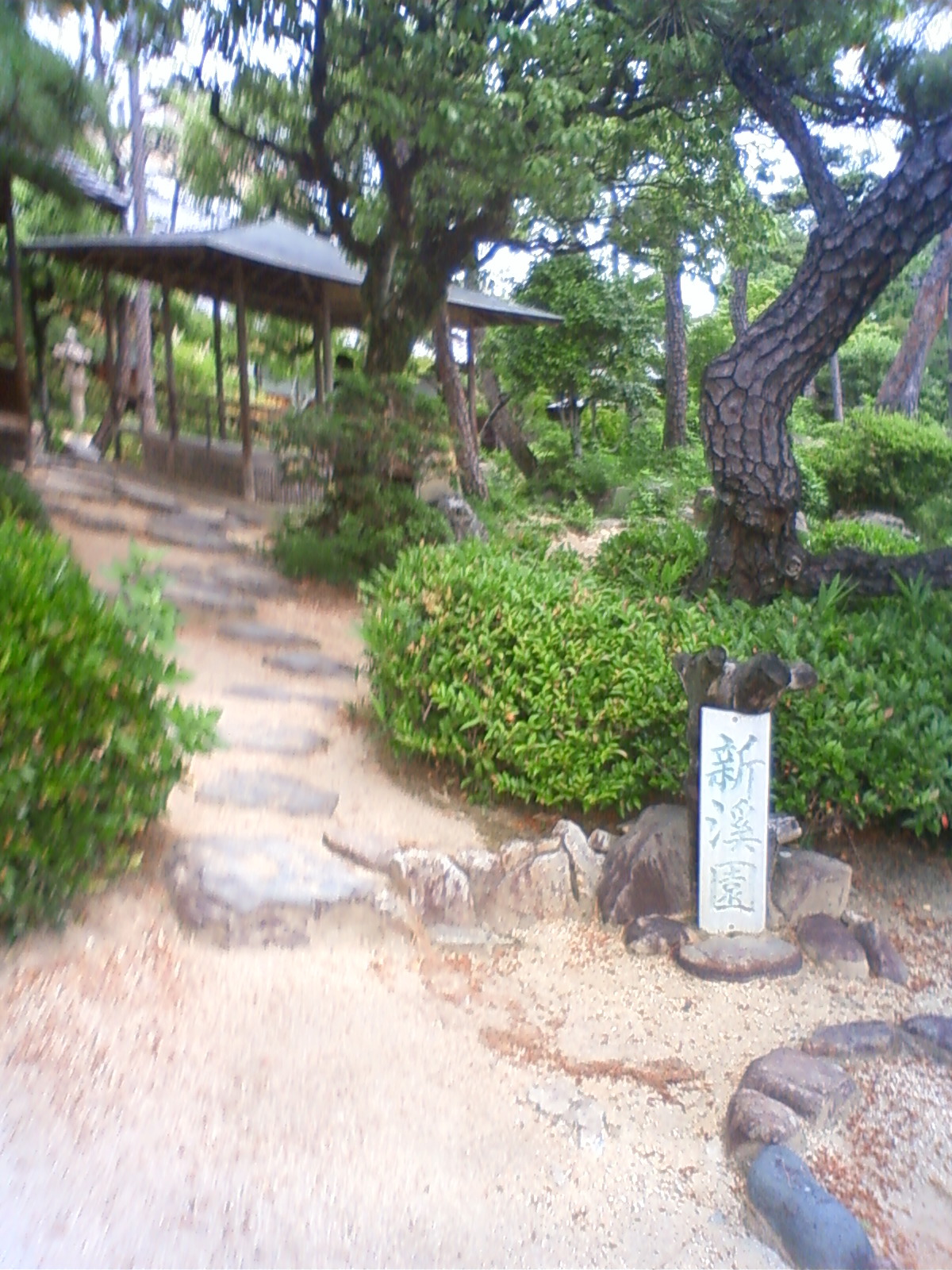 NEC_2286.JPG