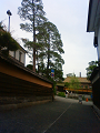 NEC_2294_thumb.png