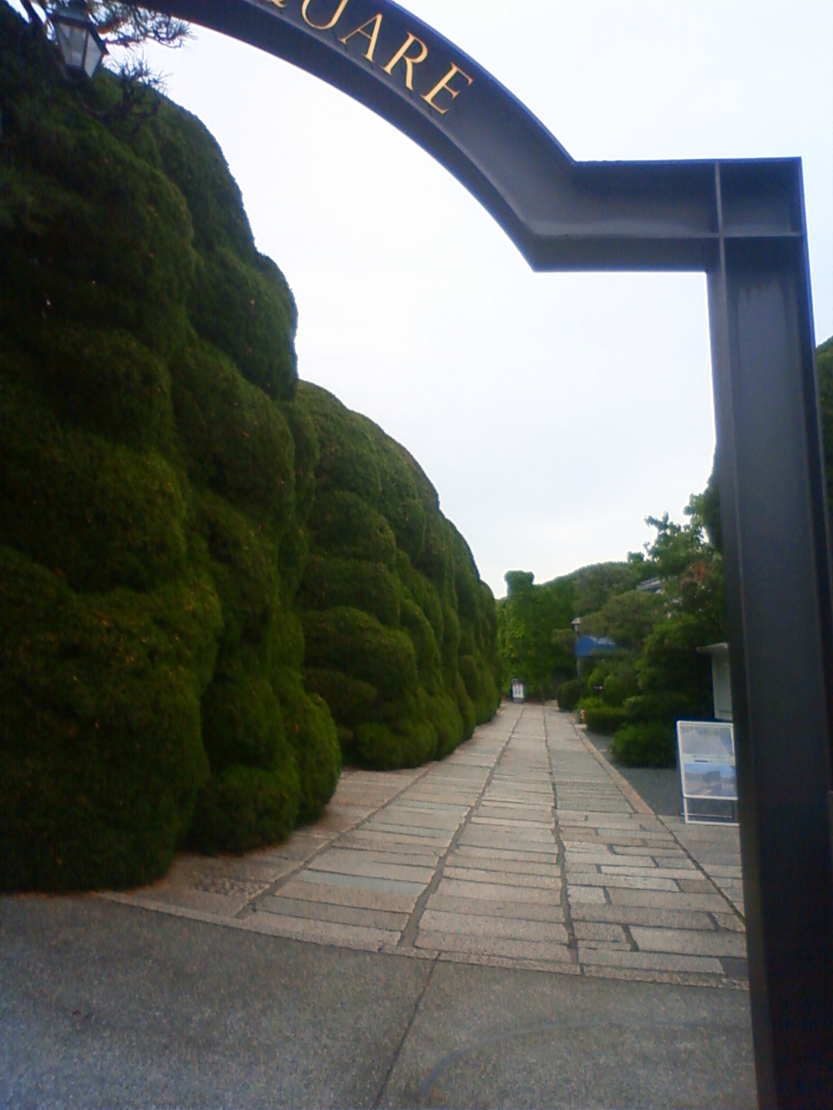 NEC_2312.JPG
