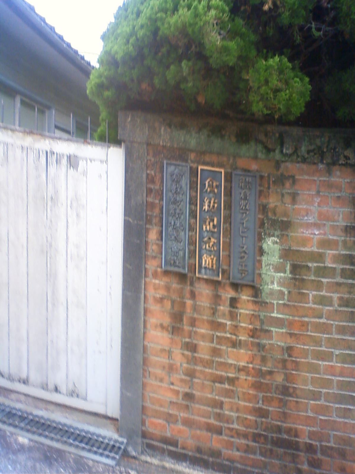 NEC_2313.JPG