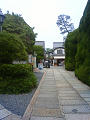 NEC_2315_thumb.png