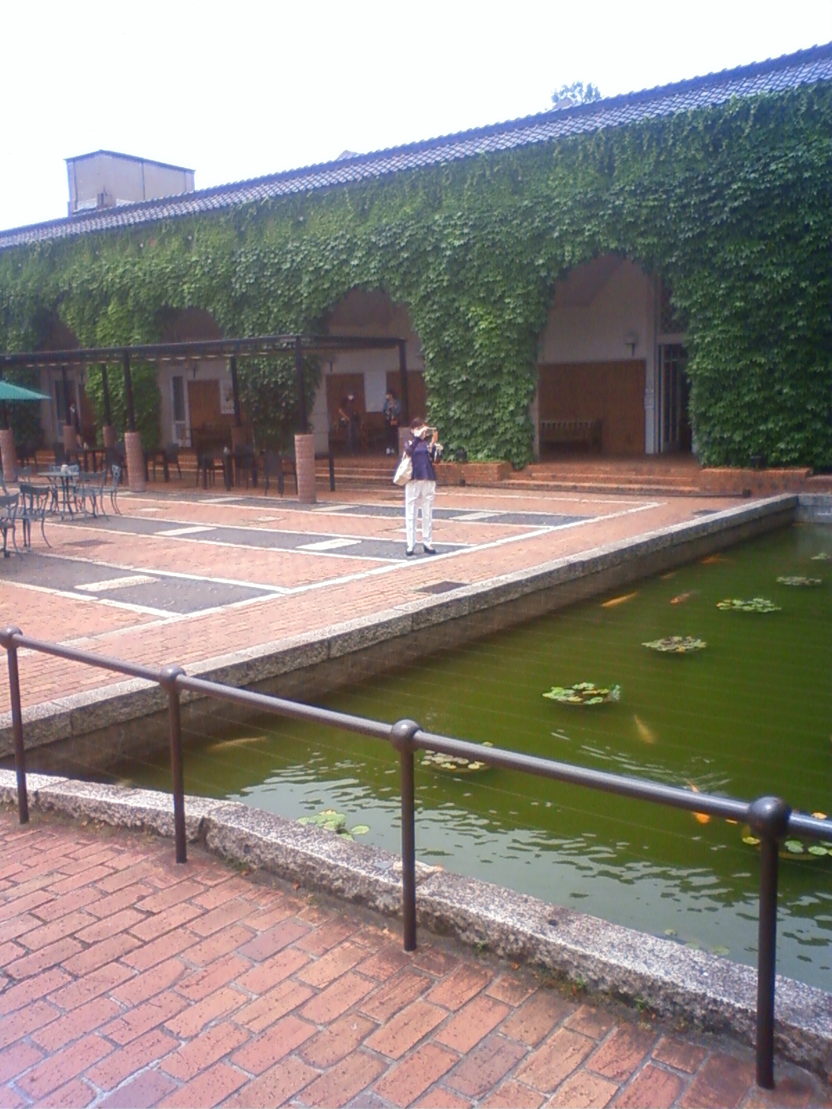 NEC_2326.JPG