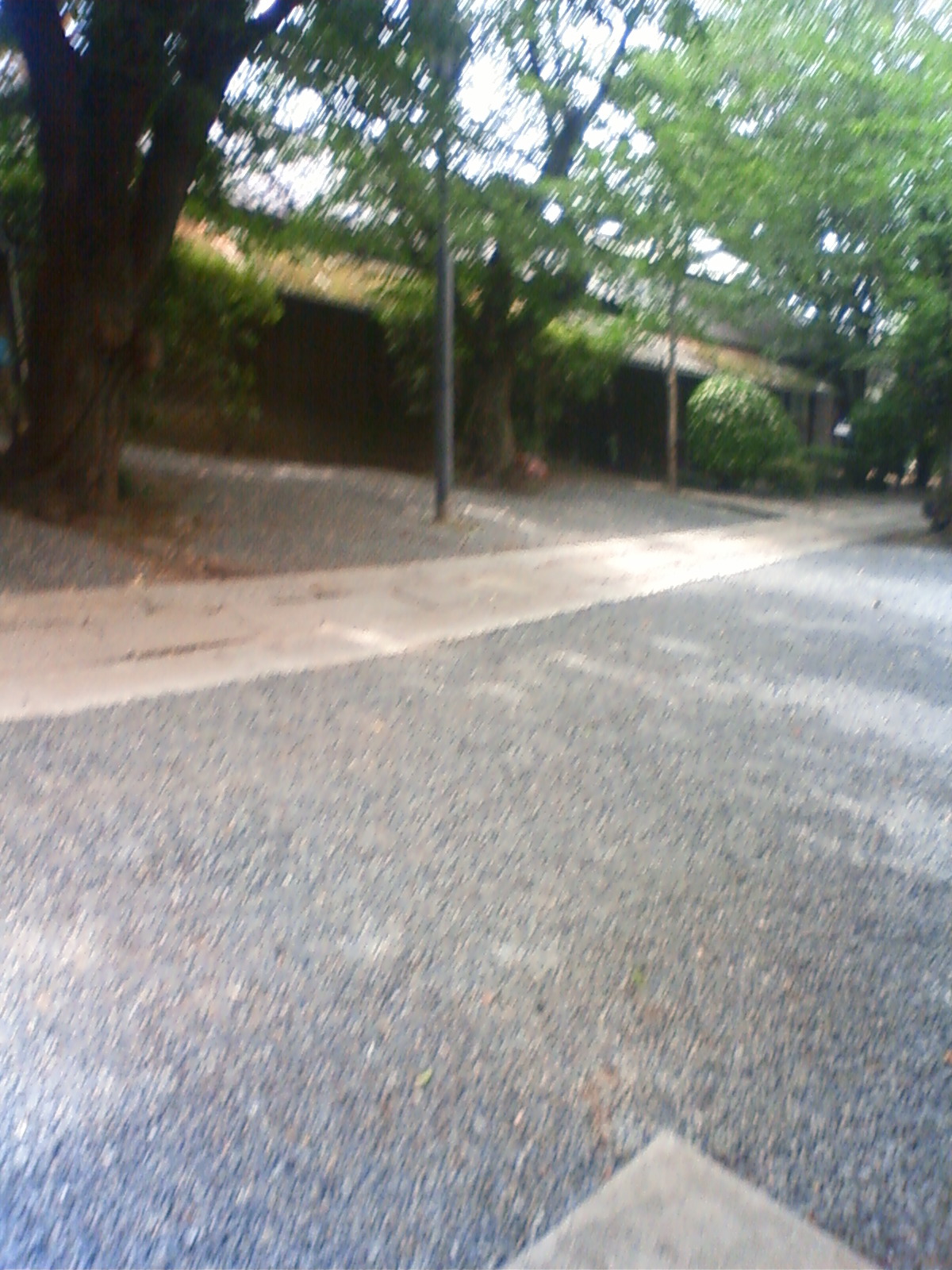 NEC_2327.JPG