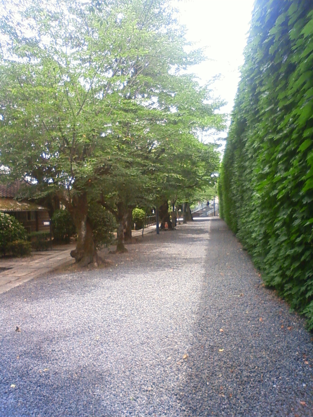 NEC_2328.JPG