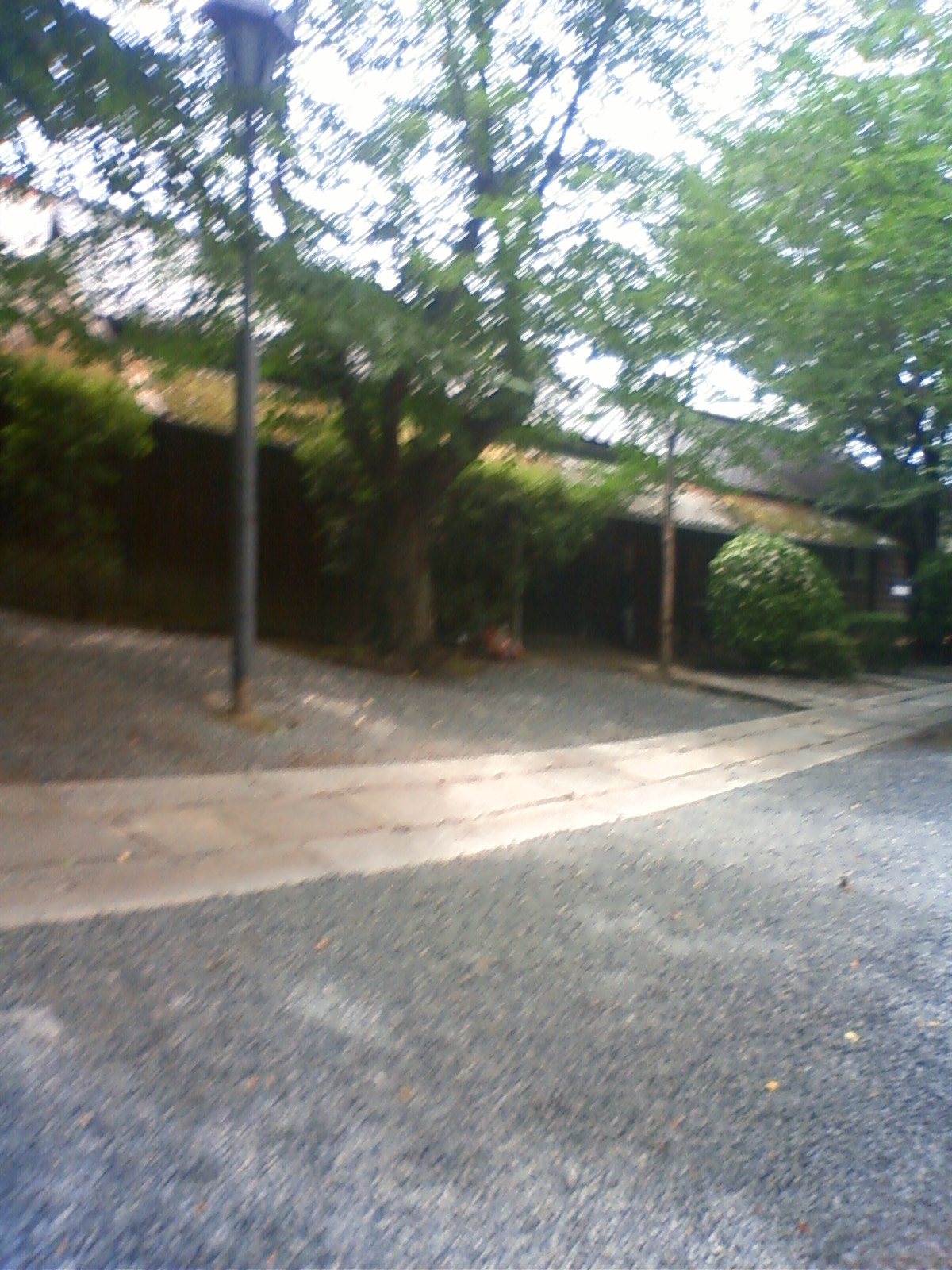 NEC_2329.JPG